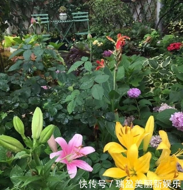  「平方」有了30平方的小院，能将日子过成了诗？简单而精致，优雅而从容！