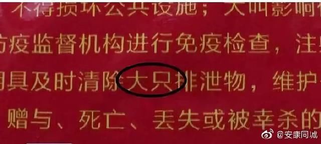  「责任人」安康一政府通告出现20处错别字！3名责任人被追责