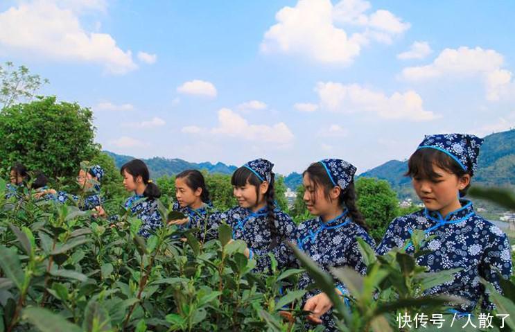 江西这个县的风景如画，可媲美婺源，每年游客稀少，你来过吗？