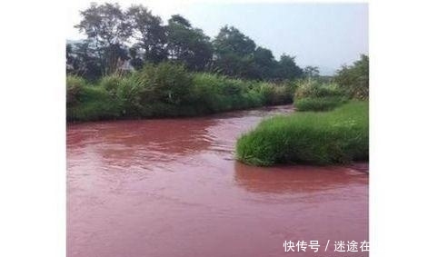 南极洲有条血色瀑布，水质竟然也和血液相似，就连味道也有血腥味