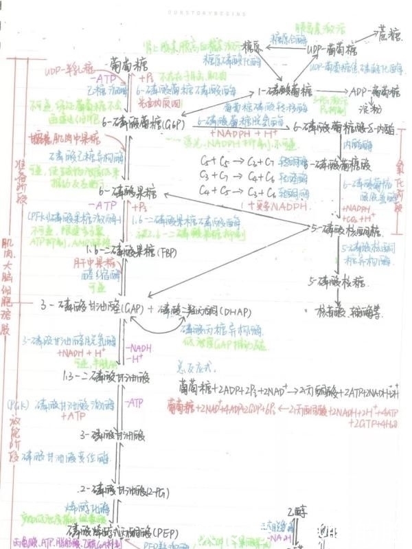  「建筑工程学」顶尖高校学霸晒出“神仙笔记”网友跪了这就是差距啊