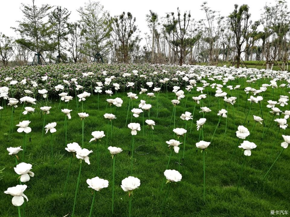 特别:十里春风,打卡滨江公园