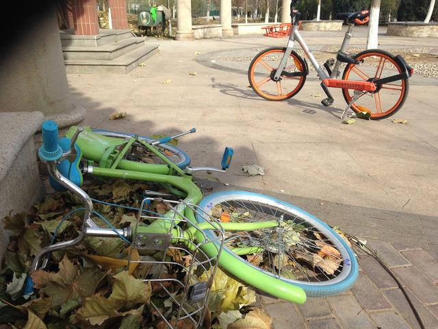 告诉你个秘密,酷奇单车客服电话为什么打不通