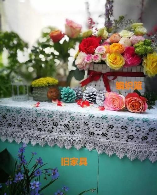  【图片作者】自从开始养花，看到垃圾堆都忍不住瞄两眼，捡到就是赚到！
