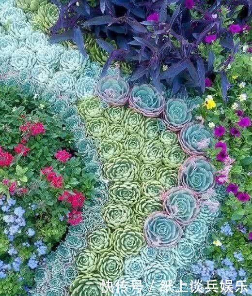 「花园」庭院·多肉·花园,美不胜收!