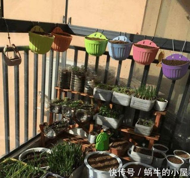 适合|封闭阳台通风差,不适合养花?错!注意这5点秒变花园!