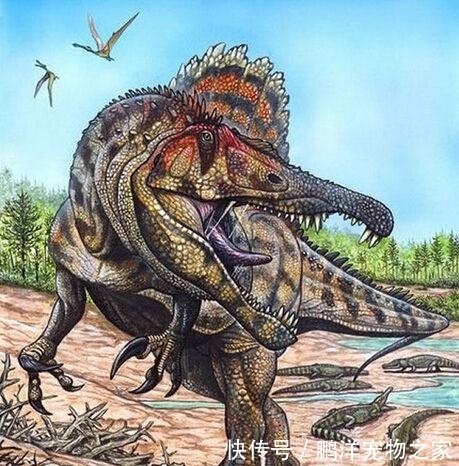 十大肉食恐龙,霸王龙排第几?