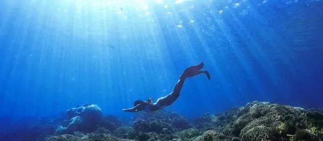 名副其实超值海岛!20元吃大虾,人均200住酒店,顺便考下潜水证