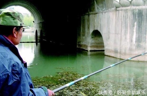 『随便』钓鱼不钓草,等于瞎胡跑,见草随便钓,还是瞎胡跑
