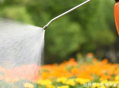 「土壤是白色」夏天养花浇一盆死一盆?学会这三种浇花小技巧,让花安心度夏
