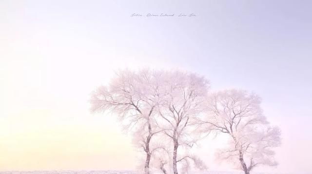 女人不能错过的8次旅行,每年去一个