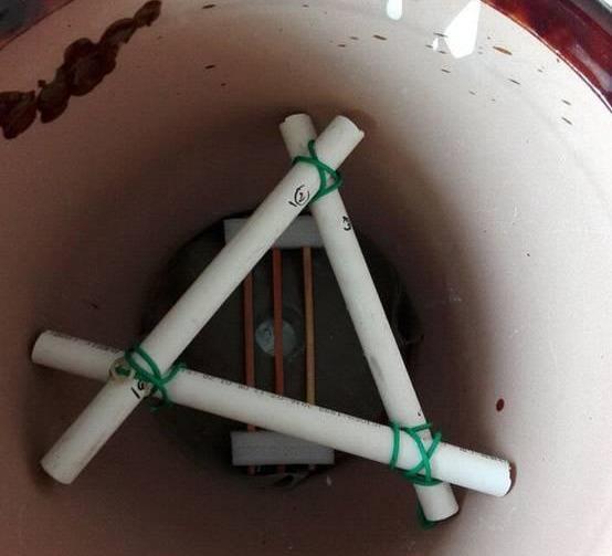  #花友#绿萝虽然很平常，打扮一下也能很惊艳！做一做造型，好看不少哦！