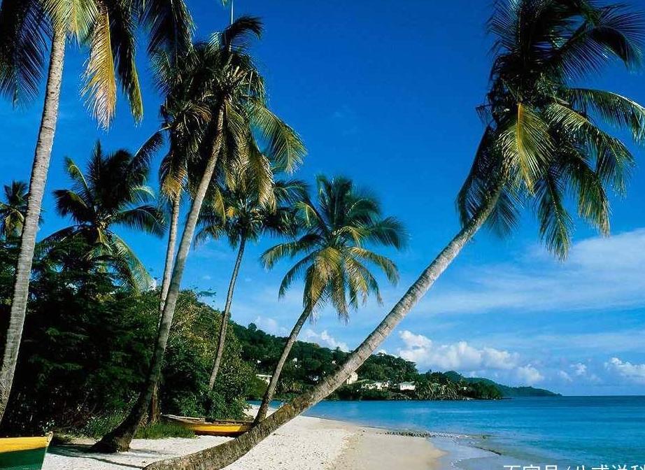 为什么去海南旅游的人越来越少？东北人也不爱去了？原因很打脸！