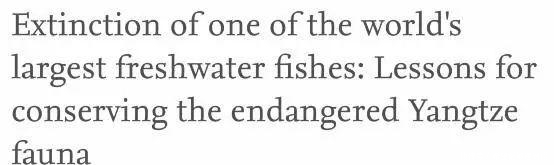  中华鲟|又一个物种灭绝，中国淡水鱼之王未能跨入2020……