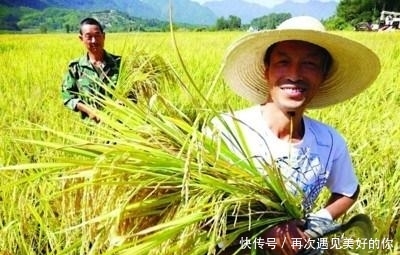  「补贴」未来农村，这些行为要被严查