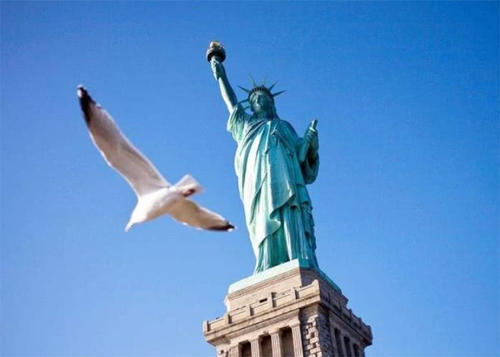 低头族欣赏不到布拉格的这个“雕像”，看到它的人可能会选择报警