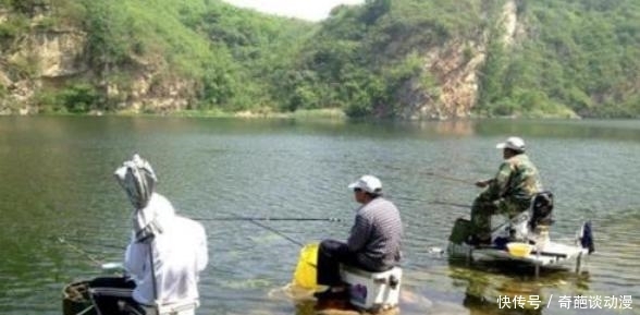 【气压天气时】钓深还是钓浅?这是一个问题...