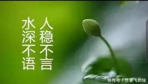 「特质」魏征的四大谏言术体现一个特质?