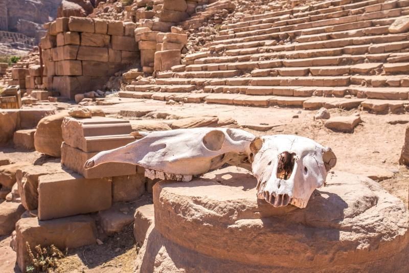 探秘沙漠失落之城，重走丝绸之路，寻找历代国王的古墓宝藏