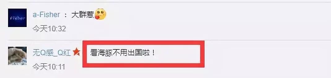 霞浦海域惊现中华白海豚，央视新闻联播都报导了