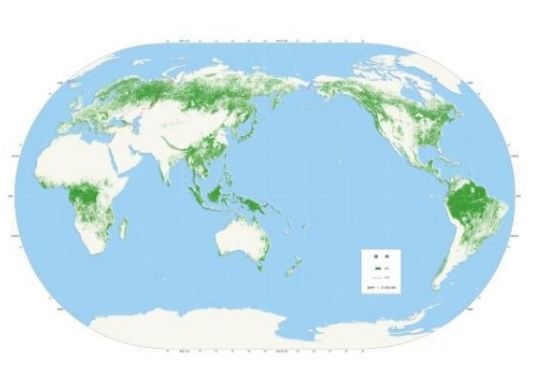  [增长]我国绿化出好消息，森林面积增长18%，地图显示中国越来越