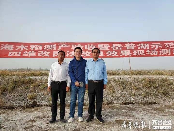  「大沙漠」荒漠变粮仓！中国最大沙漠边缘长出“海水稻”，亩产