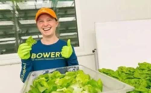  产品|植物工厂：90％不盈利，但产品符合消费趋势，未来价值可期