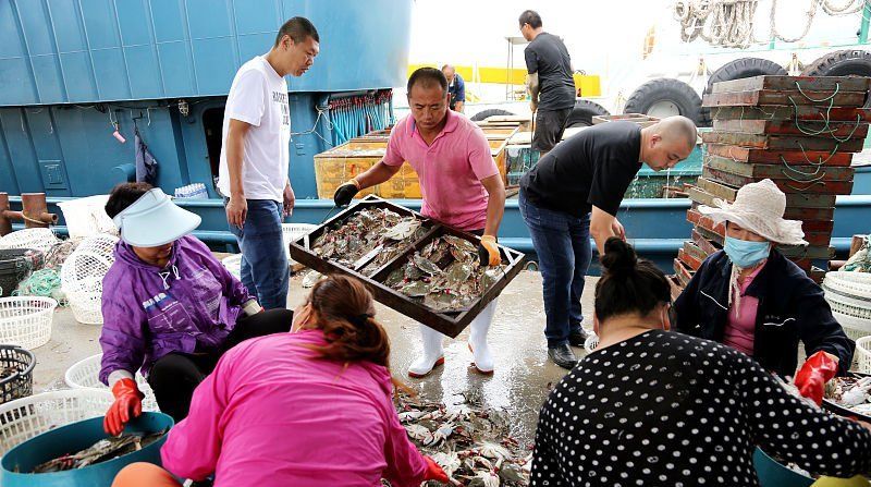  上市@中秋节前梭子蟹大量上市，连云港每天上岸30多万公斤，畅销