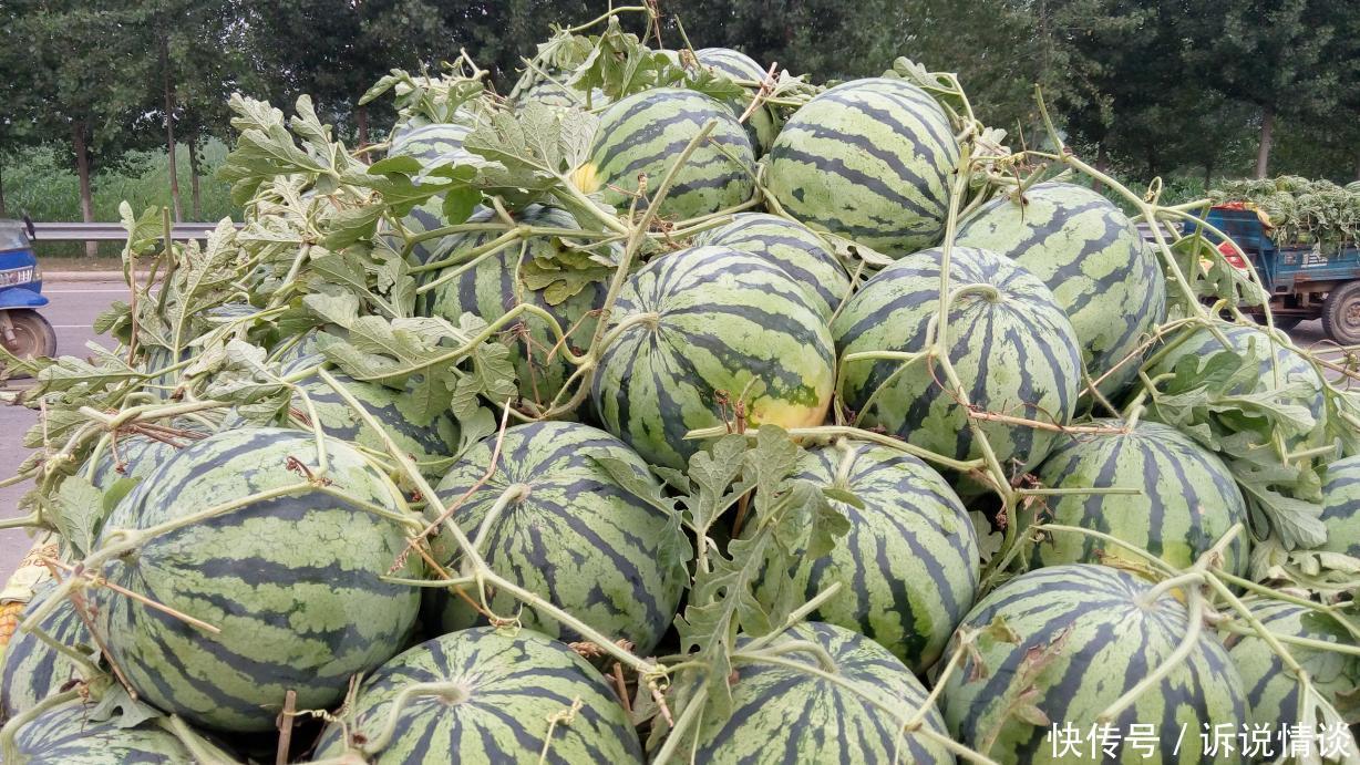 我国可以免费乘坐公交车的两个县城, 一个在山东, 一个在山西