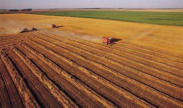 农村土地流转500元一亩，农民仍不愿意，这是为何?老农说出原因