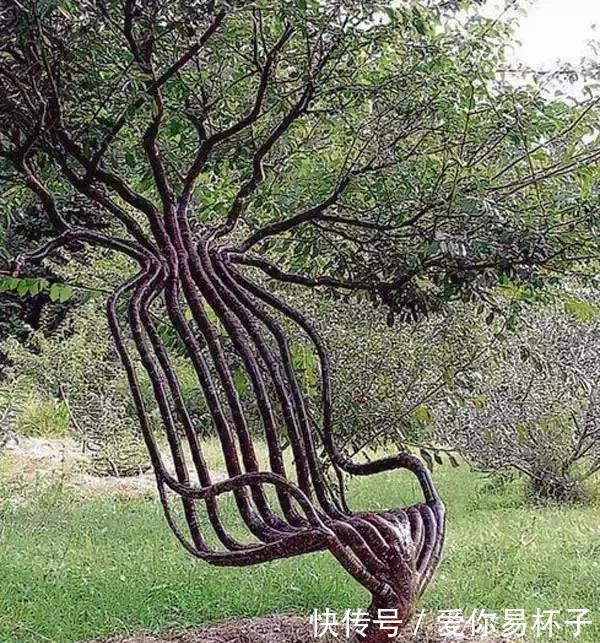  「椅子」大爷花10年“种椅子”，一把卖80000！这些文玩在家也能