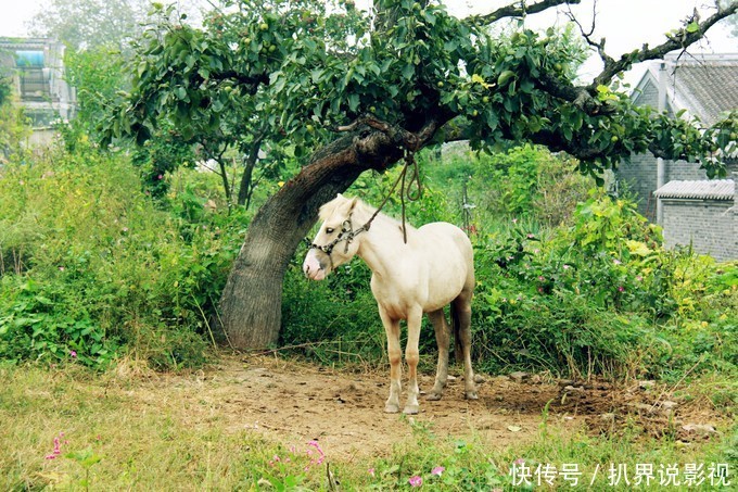 国庆小长假，天津蓟州吃、住、玩首选郭家沟，一起看看秋季美景！