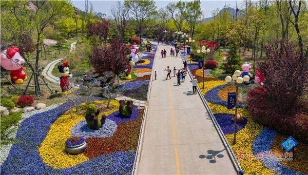  『枯桃花艺生态园』缤纷花海免费游！第三届青岛花卉博览会开幕