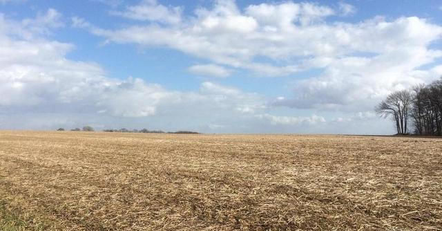  [承包]从2020年开始，承包土地的农民可以得到多少国家的补助金