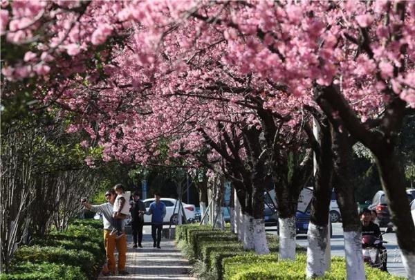 带伞加衣服！大范围降雨即将“杀”到云南