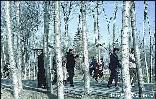 70、80年代洛阳老照片，你还能记得几个地方？