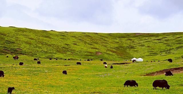 四川人告诉你:四川最美风景在川西,世界级景观美不胜收
