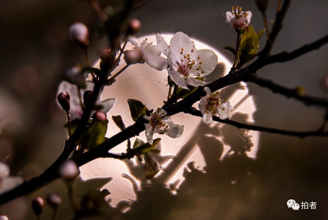  【摄影记者】一位摄影记者的65天武汉记忆：7万张照片，读懂这座城