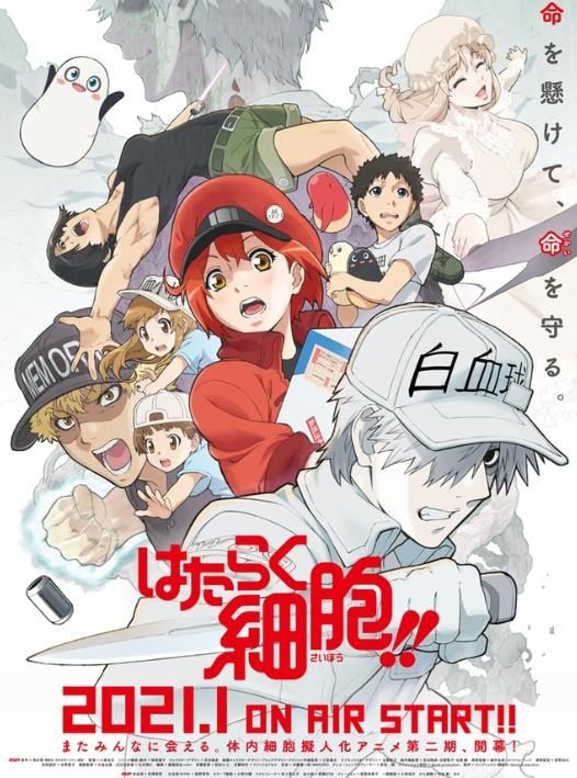  『工作』细胞拟人化《工作细胞》动画第2季2021年1月开播 新海报剧照公开