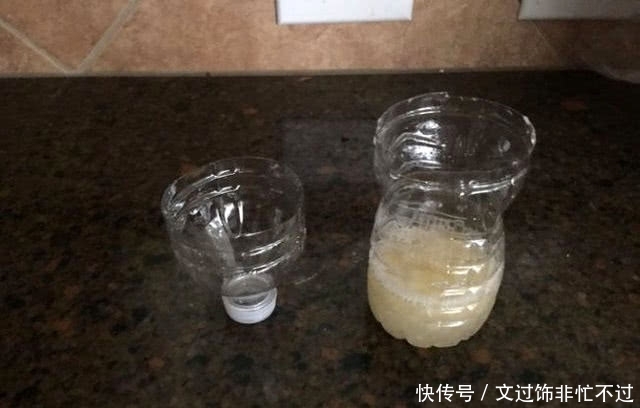 「万能」万能鱼饵非蚯蚓莫属?不,还有苍蝇也可以钓鱼