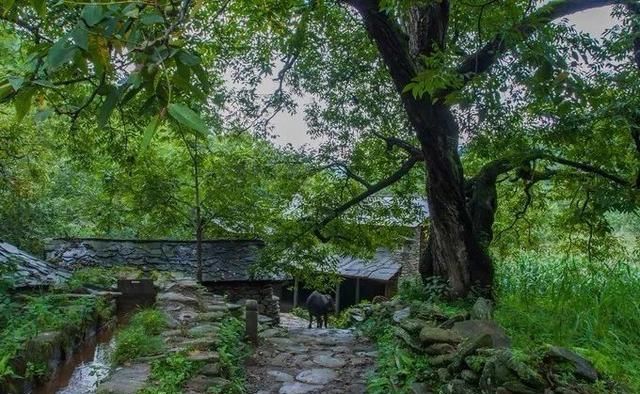 云南这些景点，趁人少的时候，赶紧去吧