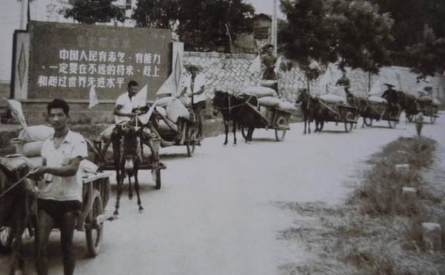 农民哽咽：交过的公粮还能退钱吗，能抵社保费用吗？专家霸气回复