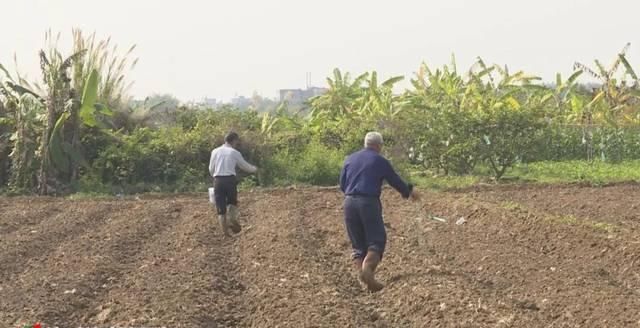  【铁铺镇坎下村】土地流转出效益乡村振兴有活力