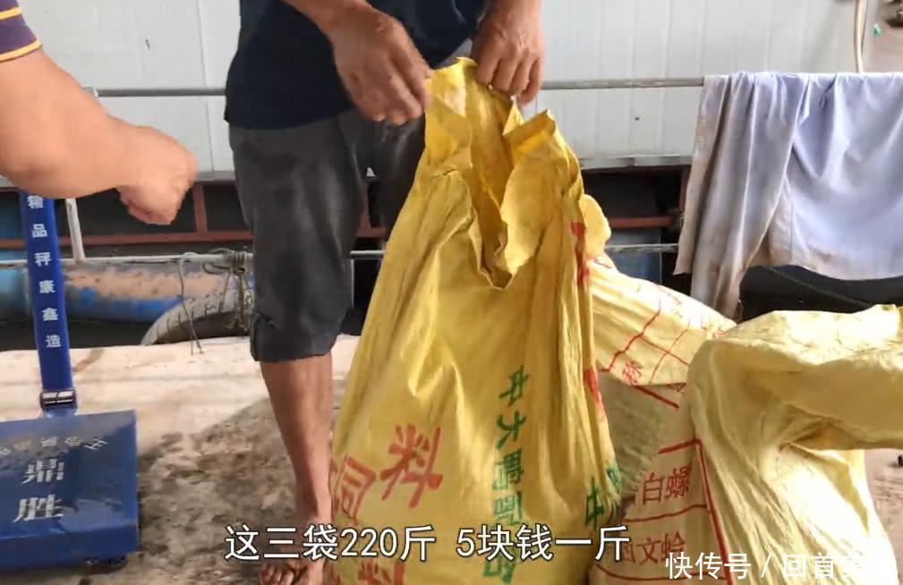 农村大叔卖这种野货，两天就挣了2000多块钱，这宝贝你吃过没