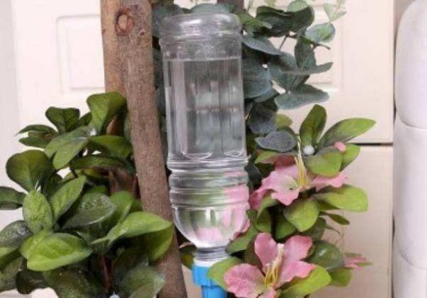  「利用塑料瓶」养花常忘浇水，试着收集“1种破烂”，能自动浇水，还有多种用途