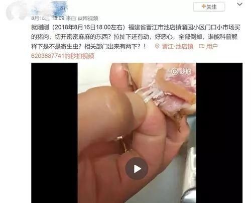 【专题辟谣】网友怀疑买到寄生虫猪肉 动物学专家:为猪肉皮下组织