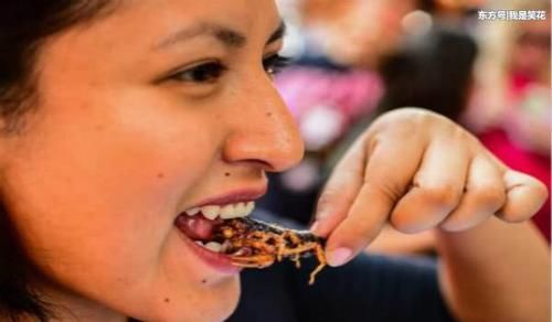 幽默联播:来看一看关于墨西哥的段子,就会明白