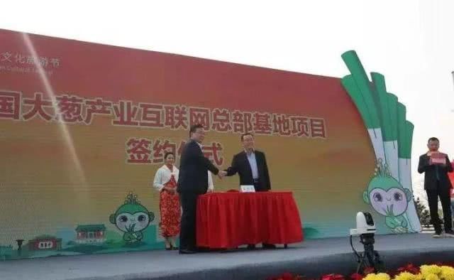  「姚明」人看葱，须仰视！2.435米！章丘今年“葱状元”比姚明还