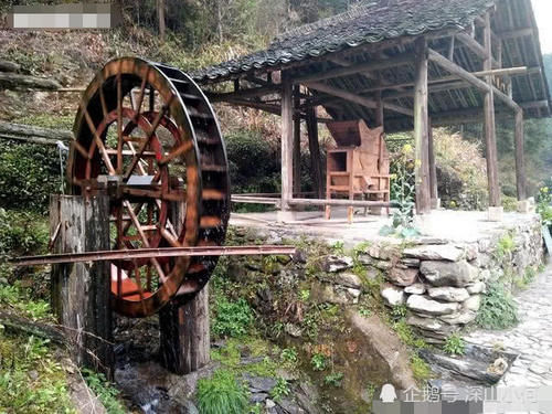 徐源：大山里的村子，却因为鱼声名远播