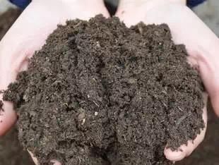  「松软」养花不用买肥料，一个小窍门，生活垃圾变成肥沃透气松软的有机肥